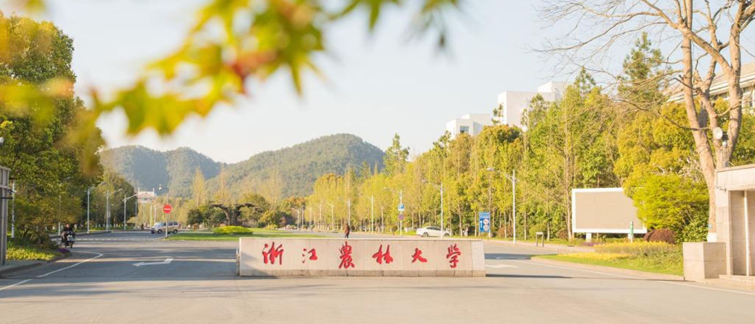 成人直播app